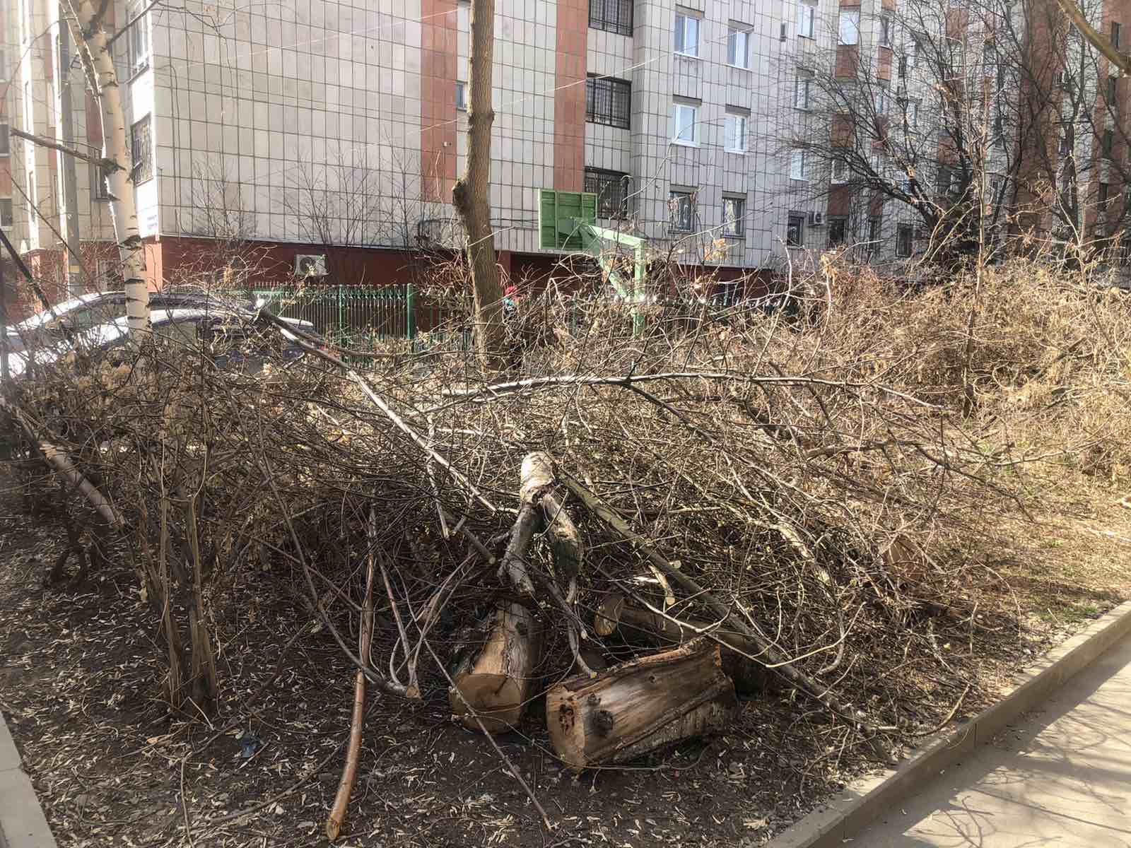 Кронирование деревьев — УК-Прикамье